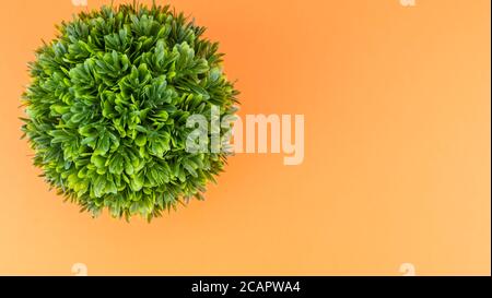 Künstliche Topfpflanzen auf orangefarbenem Hintergrund - Naturkonzept Stockfoto