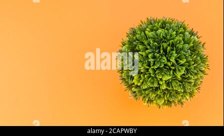 Künstliche Topfpflanzen auf orangefarbenem Hintergrund - Naturkonzept Stockfoto