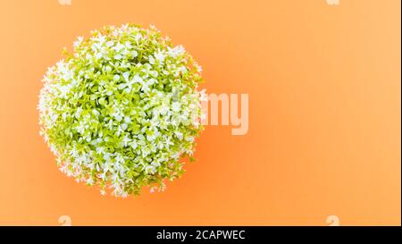 Künstliche Topfpflanzen auf orangefarbenem Hintergrund - Naturkonzept Stockfoto