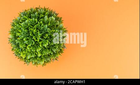 Künstliche Topfpflanzen auf orangefarbenem Hintergrund - Naturkonzept Stockfoto