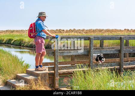 Männlicher Wanderer, der an einer Holzbrücke über einen kleinen Fluss steht Hund dunwich uk Stockfoto