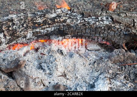 Nahaufnahme der Glut aus grauer Asche mit Streifen oranger Flamme in einem Lagerfeuer in der Natur während der Vorbereitung des Grills am Wochenende. Muster für wa Stockfoto