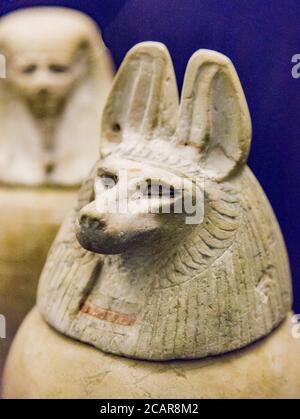 Ägypten, Kairo, Ägyptisches Museum, gefunden in der königlichen Nekropole von Tanis, 1 der 4 Leinwandvasen des Prinzen Hornakht. Der Stecker ist ein Schakalkopf. Stockfoto