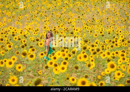 Chorleywood, Großbritannien. August 2020. UK Wetter: Eine Frau hat ihr Foto gemacht unter den Sonnenblumen wachsen in einem Weizenfeld in der Nähe von Chorleywood, Hertfordshire an einem heißen Tag, wo die Temperatur voraussichtlich bei 34C Spitze. Es wird prognostiziert, dass die Temperaturen in den nächsten Tagen weiterhin über 30 Grad Celsius liegen werden. Kredit: Stephen Chung / Alamy Live Nachrichten Stockfoto