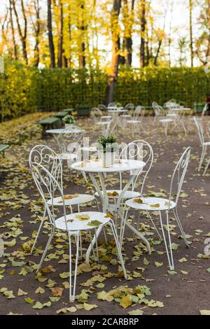 Blick auf schöne vintage Metall weißen Tischen und Stühlen mit gefallenen Blättern in einem leeren Herbstpark in St. Petersburg.Sommergarten in der Nebensaison. Ruhe Stockfoto