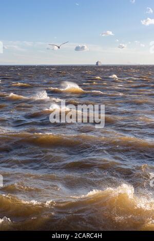 Meer in sonnigen windigen Tag. Blauer Himmel, Möwe und Passagierschiff im Hintergrund, vertikal. Wind, Wetter, stürmische Wellen Konzept Stockfoto