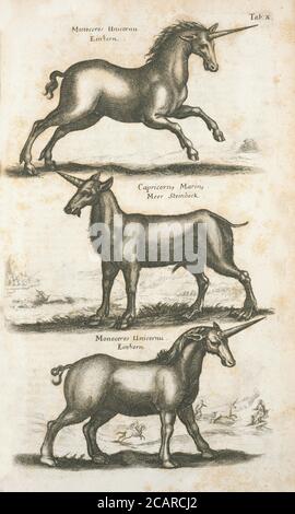 Vintage Tier Illustration Vintage klassische künstlerische Zeichnung Stockfoto