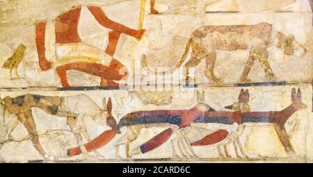 Ägypten, Kairo, Ägyptisches Museum, das Grab von Nefermaat, Meidum, war das einzige, das die Technik der versenkten Relief mit Paste Inlays gefüllt verwenden. Stockfoto