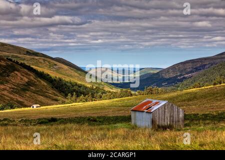 Hochschule Tal, Northumberland Stockfoto