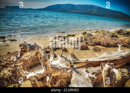 driftwood am Strand von Mugoni. Verarbeitet für hdr-Tonemapping-Effekt Stockfoto