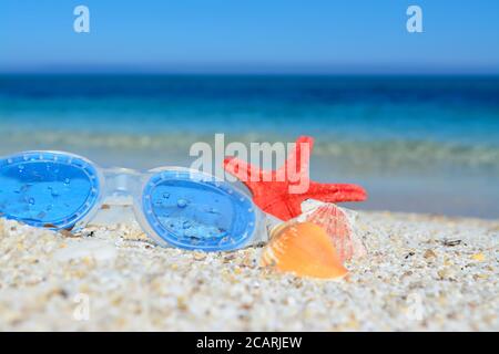 Strandbrillen und Muscheln auf dem Sand Stockfoto