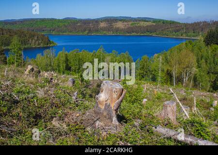 Blick auf den Granestausee Stausee mit teilweise Abholzung im Vordergrund, Nationalpark Harz, Deutschland Stockfoto