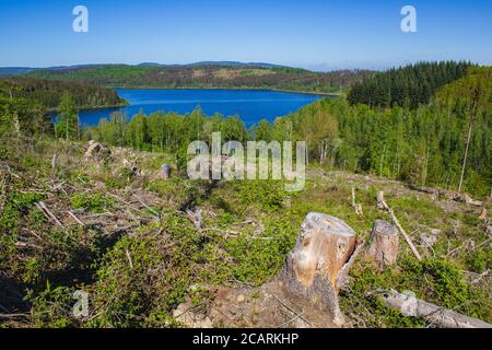 Blick auf den Granestausee Stausee mit teilweise Abholzung im Vordergrund, Nationalpark Harz, Deutschland Stockfoto