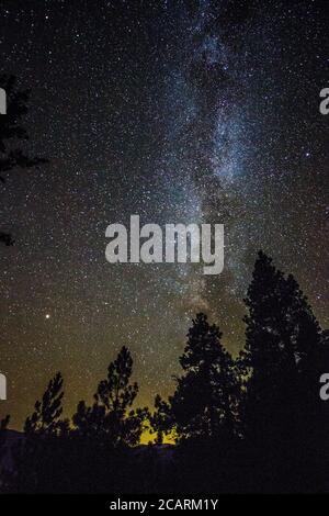 Unendlicher Sternenhimmel mit Milchstraße in einem Washington State Forest mit Mars in der Ferne. Stockfoto