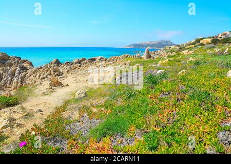 Gelbe Felsen am Strand von Santa Reparata, Sardinien Stockfoto