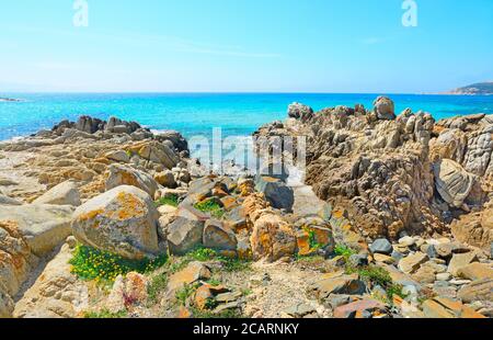 Gelbe Felsen am Strand von Santa Reparata, Sardinien Stockfoto