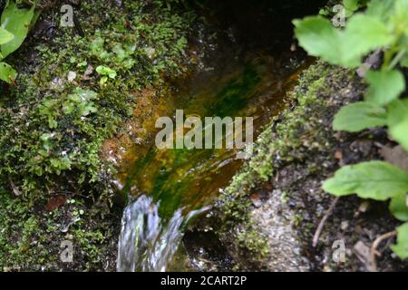 Wasser aus der Fuente Agria de Prtugos, in Granada, Spanien. Bildet einen kleinen Bach, der durch Alpujarra geht. Stockfoto