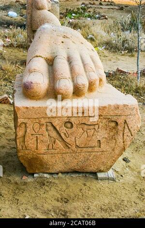 Ägypten, Nildelta, Tanis, der Fuß eines Kolosses von Ramses II, gefunden in der Nähe der Gräber und jetzt außerhalb des Grabungshauses angezeigt. Stockfoto