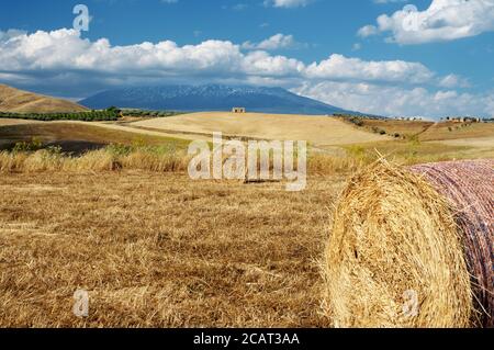 Ländliche Landschaft von Sizilien im Sommer mit runden Heuballen Und verlassene Gebäude auf einem Hügel unter blauem Himmel und Weiße Wolken Stockfoto