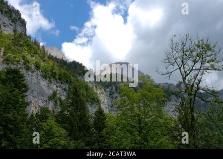 Bergkulisse vom Walenstadtberg in der Schweiz Stockfoto