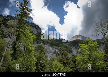 Bergkulisse vom Walenstadtberg in der Schweiz Stockfoto