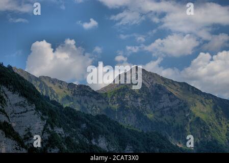 Bergkulisse vom Walenstadtberg in der Schweiz Stockfoto