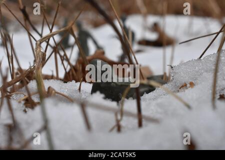 Ein Toy Soldier nimmt Ziel und bereit zu kämpfen Knietiefer Schnee Stockfoto