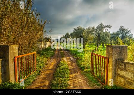 Metalltor auf einem Feldweg in der Landschaft geöffnet Stockfoto