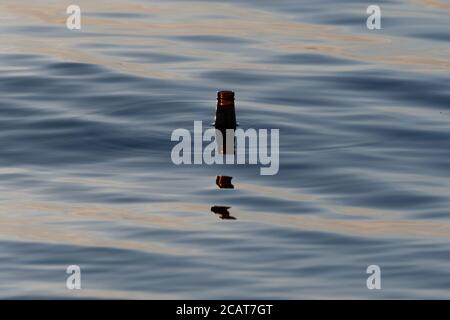 Der Hals einer leeren, braunen Bierflasche, die bei Sonnenaufgang im Wasser schwabelt und deren Spiegelung in den Wellen der Oberfläche des ruhigen Wassers tanzt. Stockfoto