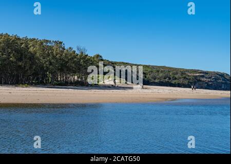 Coote Creek blaues Wasser und australischen Busch Hintergrund Blur an Wattamolla Beach an einem sonnigen Winternachmittag Stockfoto