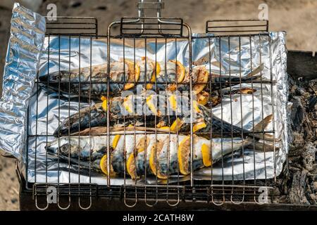 Fisch Makrele auf dem Grill auf Spieße mit Zitrone und Gewürzen. Makrele gebacken auf einem Drahtgitter mit Rauch Nahaufnahme. Stockfoto