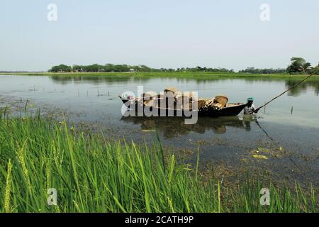 Traditionelle, bangladeschische Boote am Ufer des Jamuna River. Im Delta der Flüsse Ganga (Padma), Brahmaputra und Meghna leben Menschen auf dem Wasser. Stockfoto