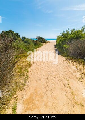 Weg zum Meer in Liscia Ruja, Sardinien Stockfoto