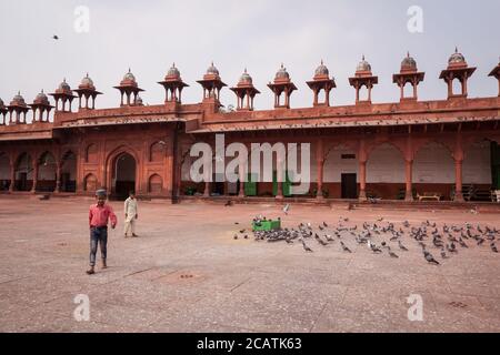 Agra / Indien - 12. Februar 2020: Zwei kleine Kinder spielen mit Tauben im großen Innenhof der Jama-Moschee Stockfoto