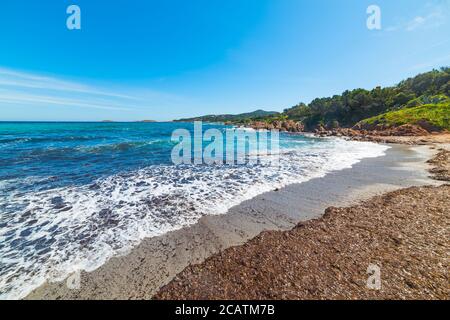 Algen in Piccolo Pevero Strand, Sardinien Stockfoto