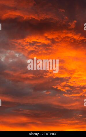 Herrliche Skyline mit gelb-orangen Cumulus Wolken, die vom Sonnenuntergang beleuchtet werden Vertikale Ausrichtung Stockfoto