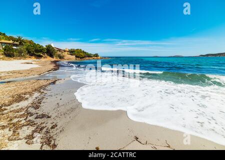 Algen in Piccolo Pevero Strand, Sardinien Stockfoto