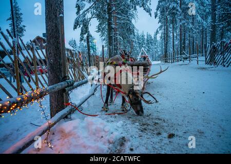 Der Rentierschlitten im Weihnachtsdorf in Lappland, Finnland. Stockfoto