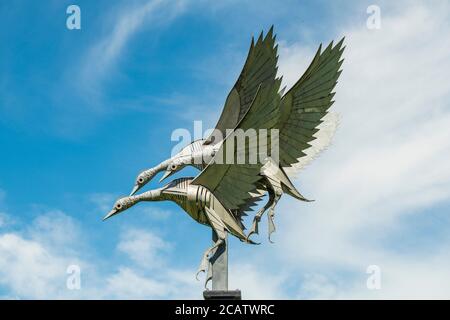 Mallard Skulptur in Ross on Wye. Stockfoto