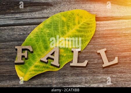 Wort Herbst ist aus Holzbuchstaben auf einem gelb-grünen Blatt und einem hölzernen Hintergrund. Nahaufnahme Stockfoto