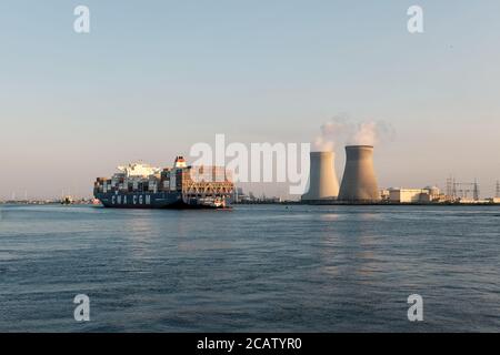 Großes Containerschiff CMA CGM Niagara segelt vorbei an der Kernenergie Kraftwerk von Doel im Hafen von Antwerpen Stockfoto