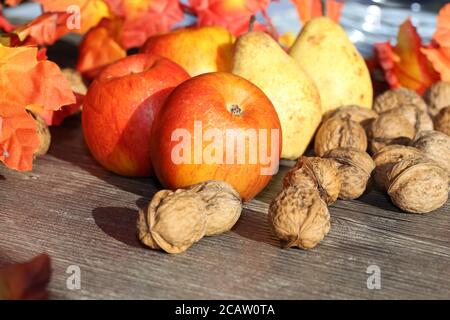 Äpfel, Birnen und Walnüsse auf einem rustikalen Holztisch als Herbstmotiv Stockfoto