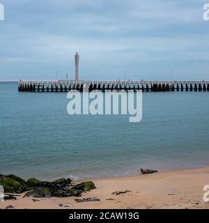 Seehund am Strand von Ostende in Belgien. Alte hölzerne Pier im Hintergrund. Stockfoto