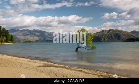 Panoramablick auf den berühmten Wanaka Baum mit umliegenden Berge Stockfoto