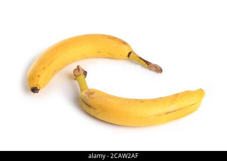 Banane Bund isolierten auf weißen Hintergrund Stockfoto