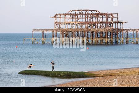 Brighton, Großbritannien. August 2020. Ein Mann taucht ins Meer vor Brighton's verderbter West Pier. Heute wird erwartet, dass ein weiterer heißer Tag mit Temperaturen bis zu 86 Grad fahrenheit an der Südküste sein. Kredit: James Boardman/Alamy Live Nachrichten Stockfoto