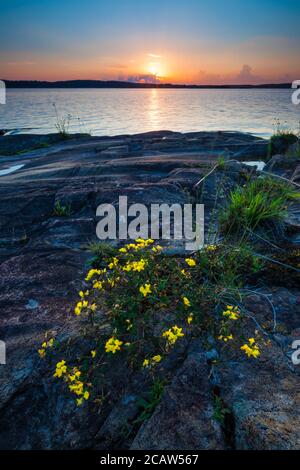 August Sonnenuntergang auf der Insel Brattholmen im See Vansjø in Østfold, Norwegen. Vansjø ist ein Teil des Wassersystems namens Morsavassdraget. Stockfoto