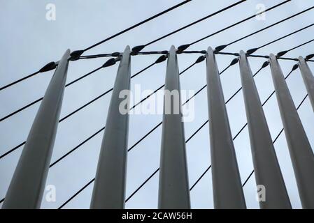 Die Spannweiten der Media City Fußgängerbrücke über den Manchester Ship Canal, Salford, Greater Manchester, England, Großbritannien Stockfoto