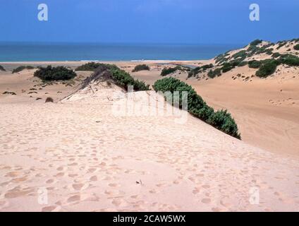 Piscinas Dünen im Süden Sardiniens (gescannt von Fujichrome Provia) Stockfoto