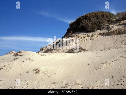 Piscinas Dünen im Süden Sardiniens (gescannt von Fujichrome Provia) Stockfoto